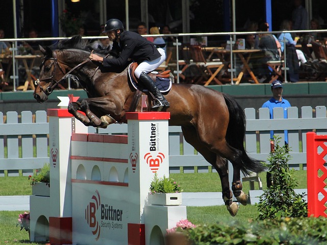 9game：体育世预赛：历史惨败 中国队客场0-7日本队